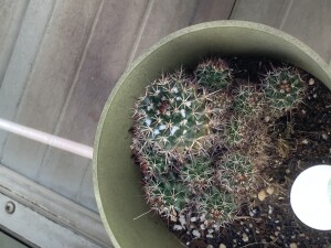 364962FA-B275-4C94-A0F2-172DC878DA28