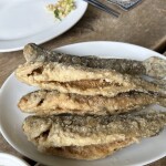 14日かようびー