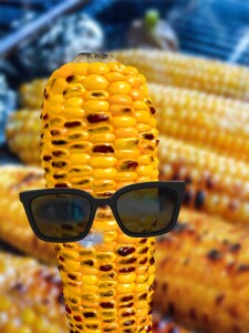 SNOW_20240816_134013_599