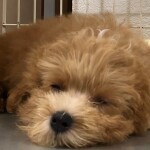 15時オープンです。