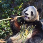 お昼営業もあもあタイム