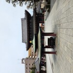 食の(金)イカ♪︎