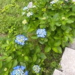 9日22時までだよー！！