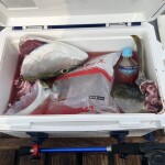 食の(金)ポイント倍です。