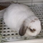 15日22時閉店です。