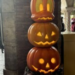 22日ポイント倍です。