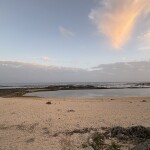 1日あいあいタイムだよ♪︎