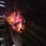 店休日のお知らせ~♪︎ 店休日のお知らせ~♪︎