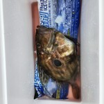 店休日のお知らせ～♪︎