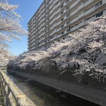 9日新人ちゃん来ます